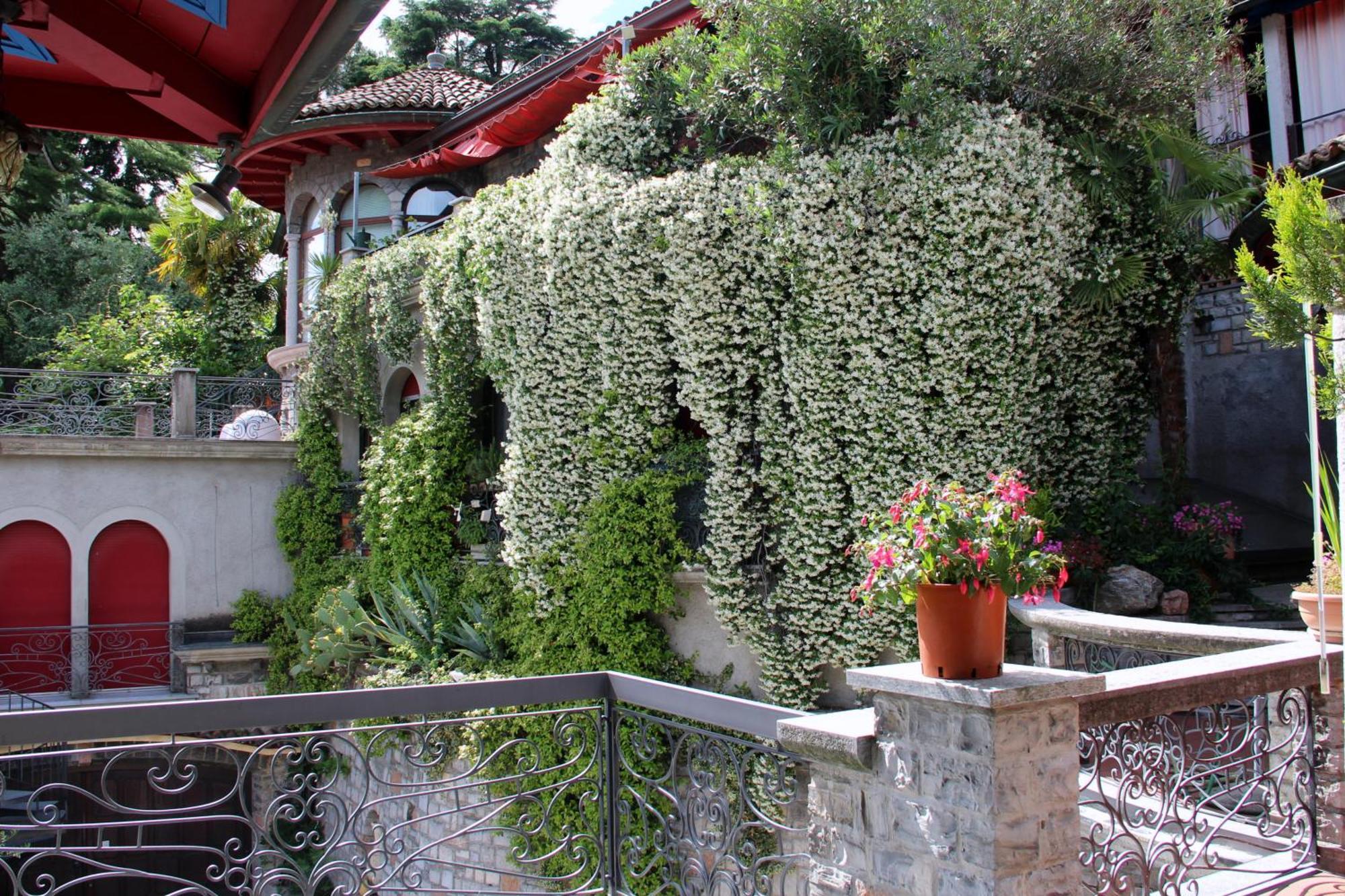 Barony Le Pergole Holiday Apartments Lugano Zewnętrze zdjęcie