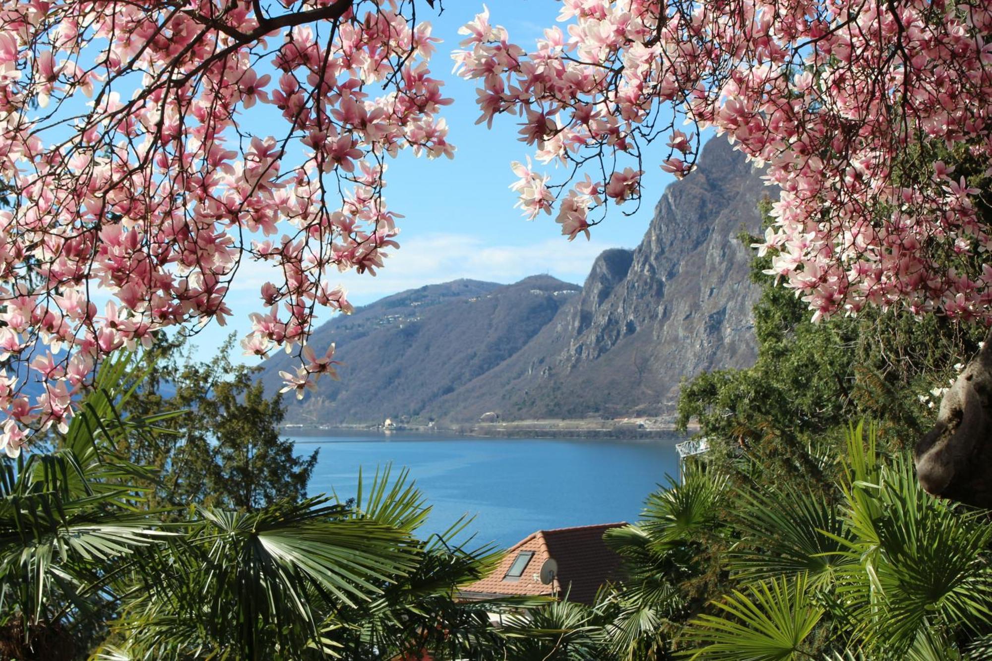 Barony Le Pergole Holiday Apartments Lugano Zewnętrze zdjęcie