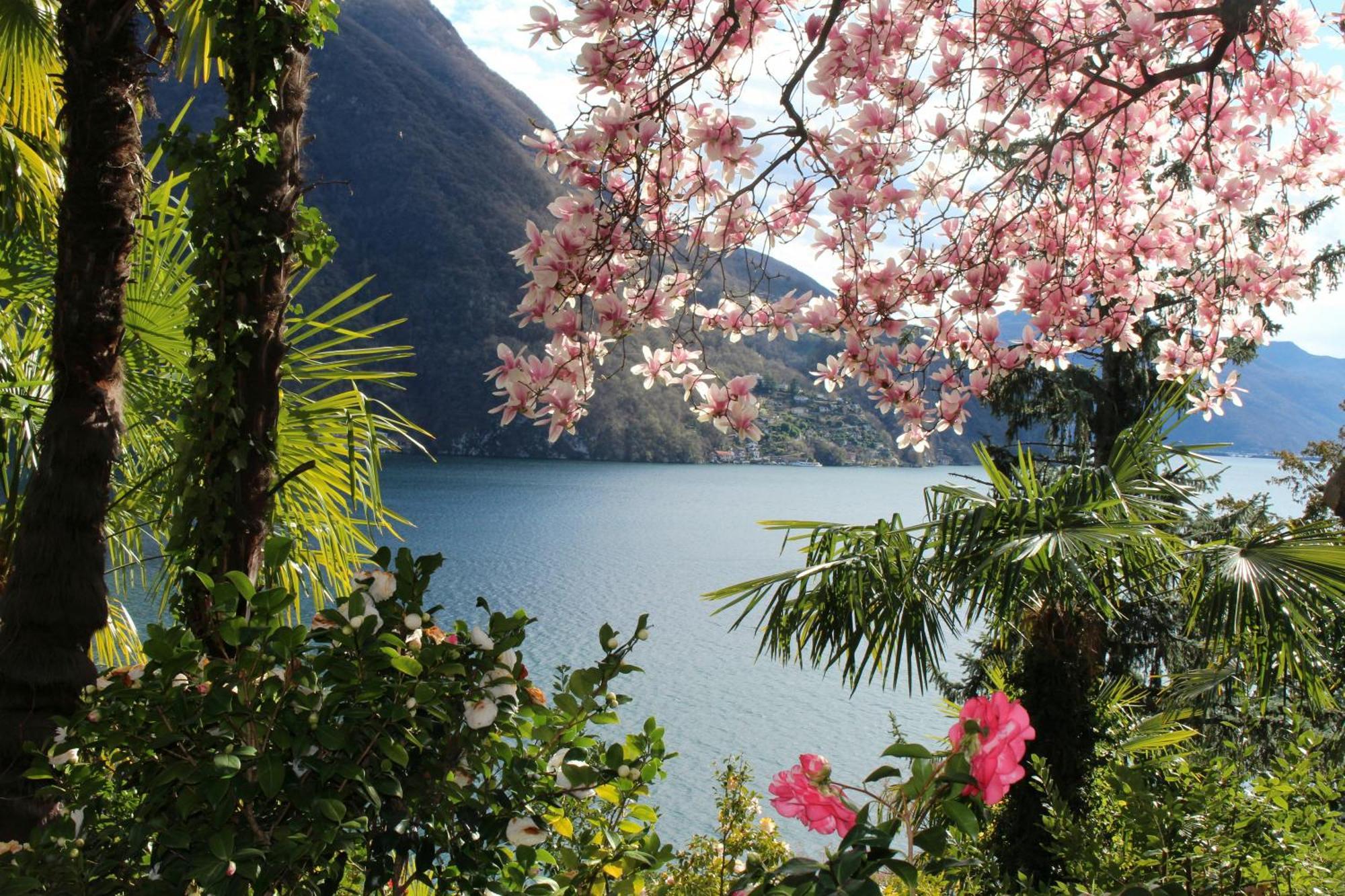 Barony Le Pergole Holiday Apartments Lugano Zewnętrze zdjęcie